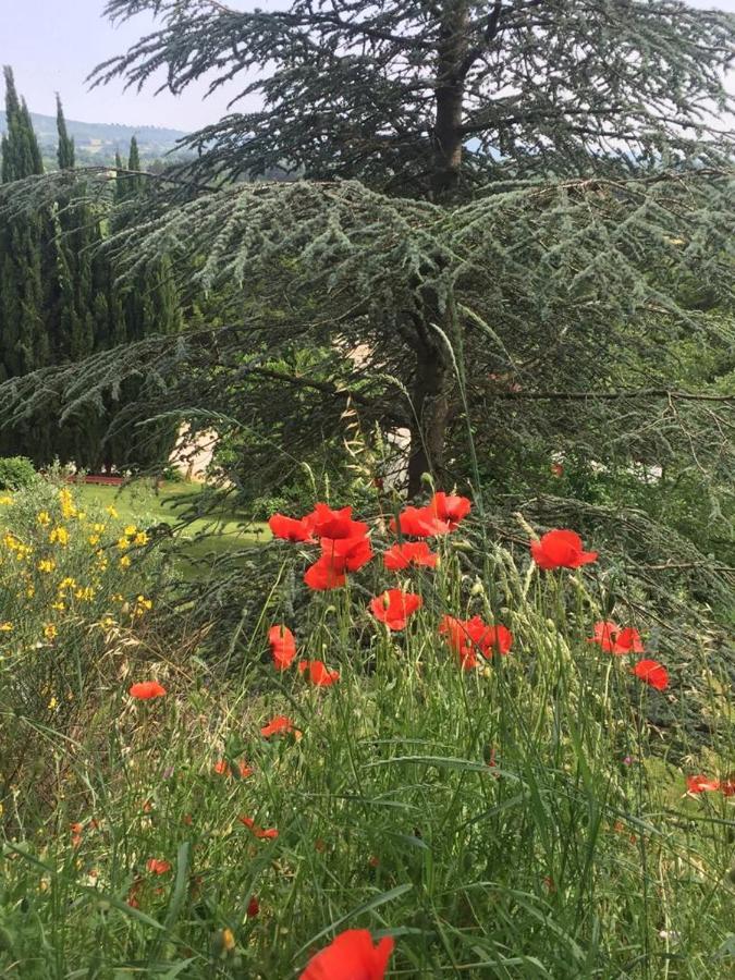 לינה וארוחת בוקר Capranica Casale Sant'Elia מראה חיצוני תמונה
